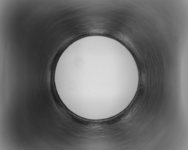 X0000089930534200706290757