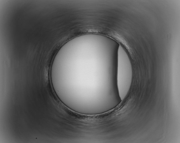 X0000089930537200706290757