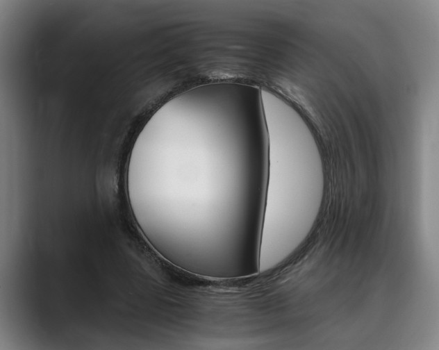 X0000089930539200706290757