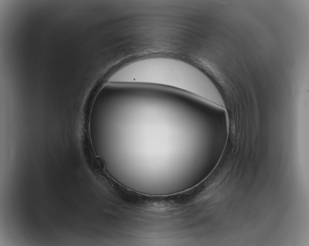 X0000089930540200706290757