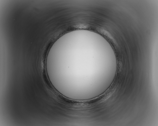 X0000089930541200706290757