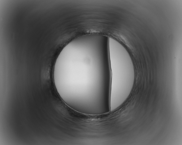 X0000089930543200706290757