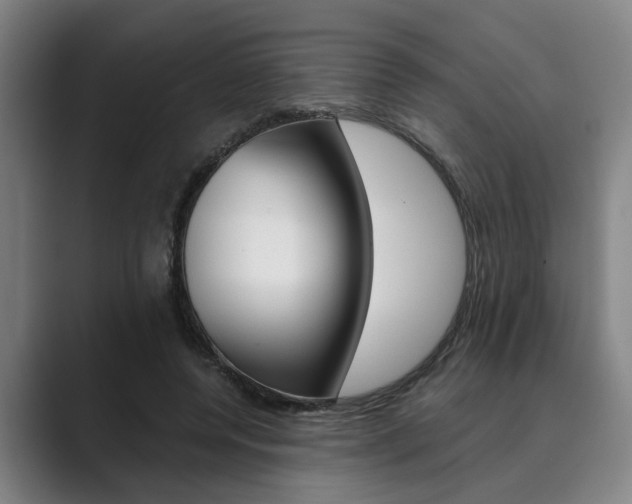 X0000089930544200706290757