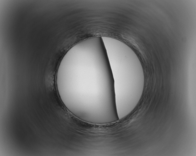 X0000089930545200706290757