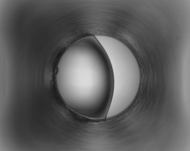 X0000089930548200706290757