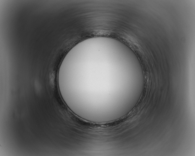 X0000089930550200706290757