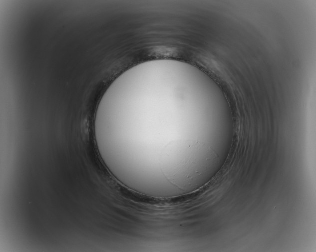X0000089930551200706290757
