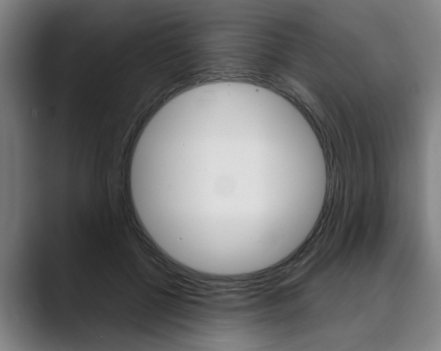X0000089930552200706290757