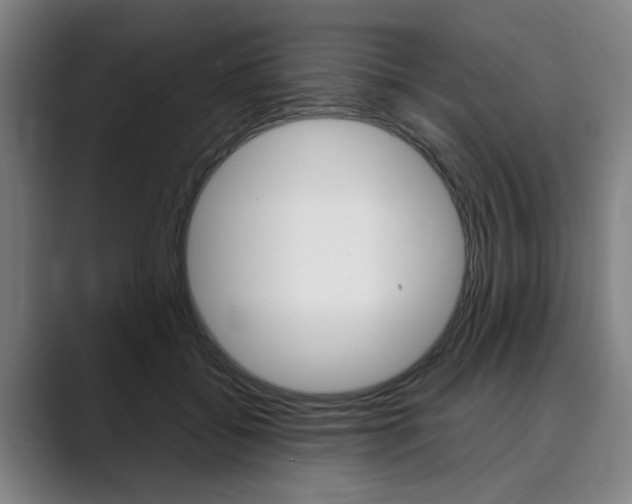 X0000089930556200706290757