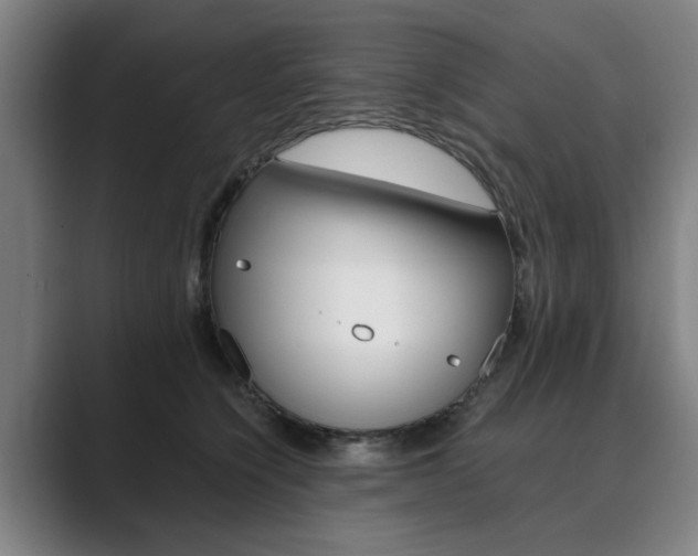 X0000089930564200706290758