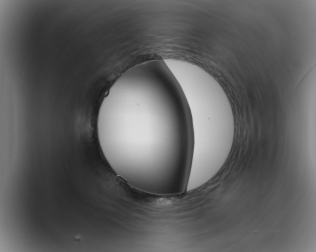 X0000089930566200706290758
