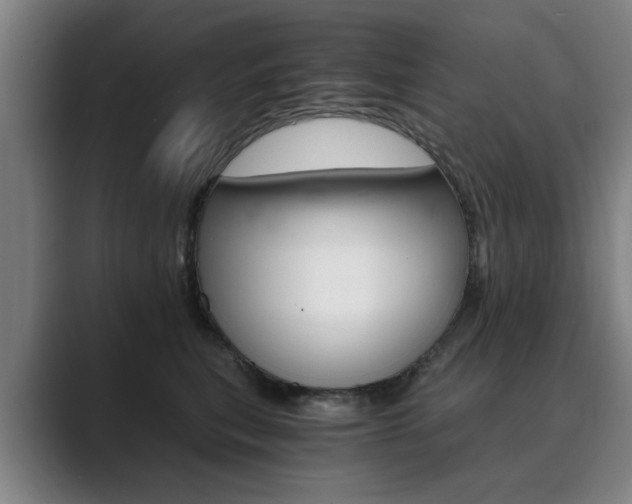 X0000089930567200706290758