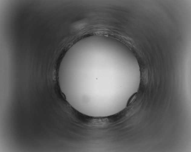 X0000089930571200706290758