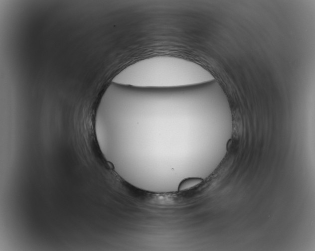 X0000089930573200706290758