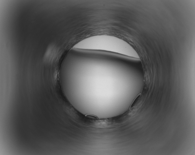 X0000089930574200706290758
