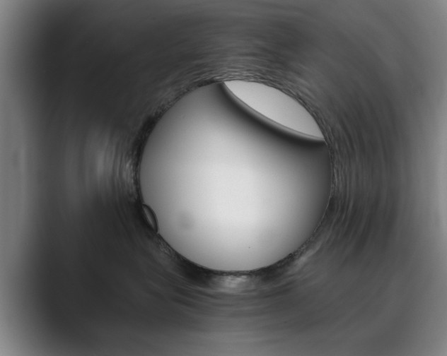 X0000089930575200706290758
