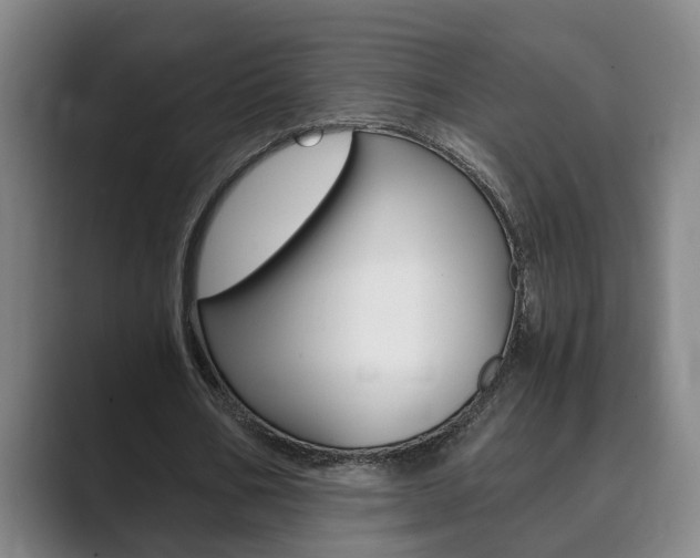 X0000089930578200706290757