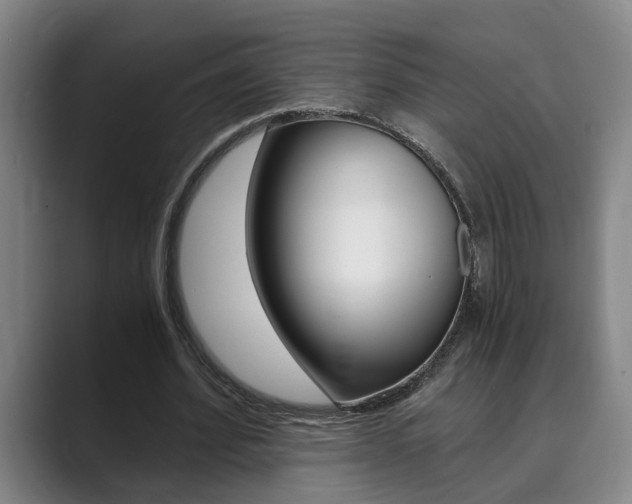X0000089930580200706290757