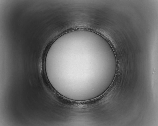 X0000089930582200706290757