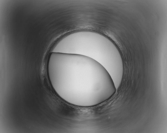 X0000089930583200706290757