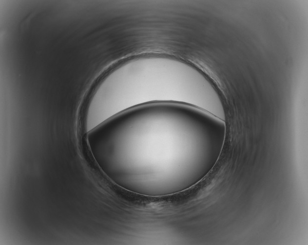 X0000089930584200706290757