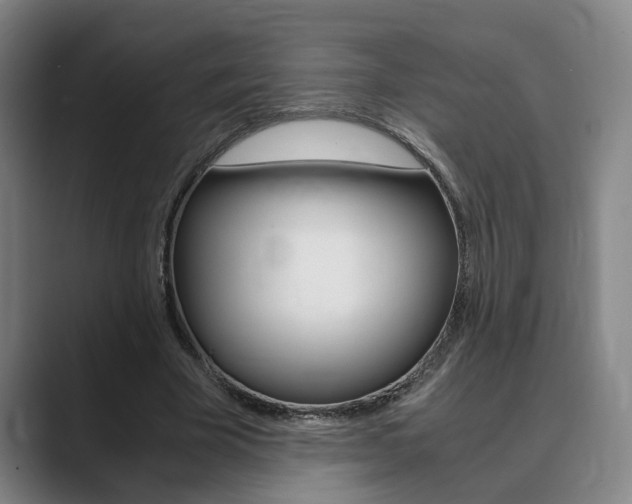 X0000089930585200706290757
