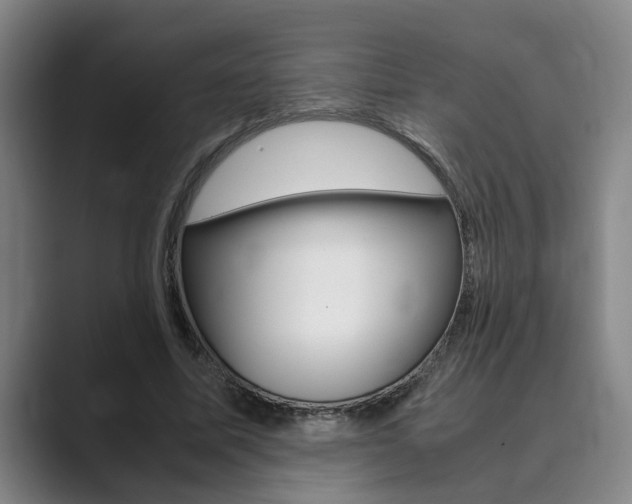 X0000089930587200706290757
