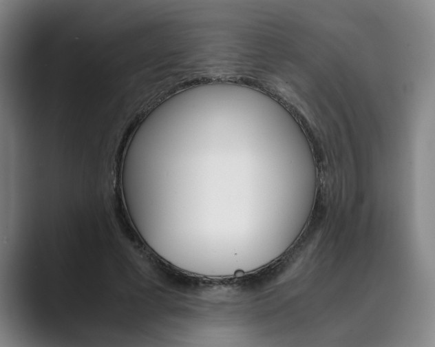 X0000089930593200706290757