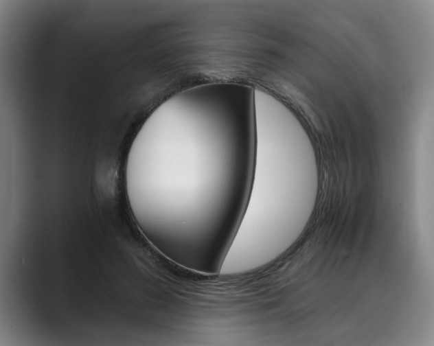 X0000089930596200706290757