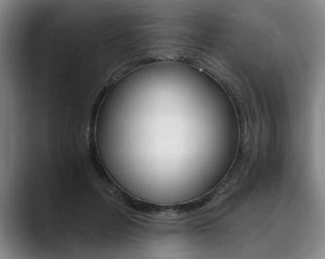 X0000089930600200706290757