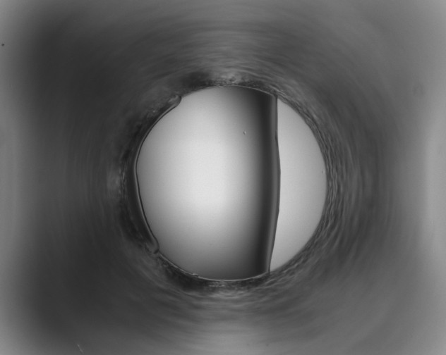 X0000089930601200706290757