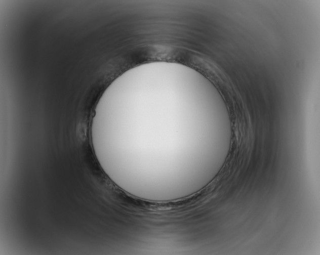 X0000089930602200706290757
