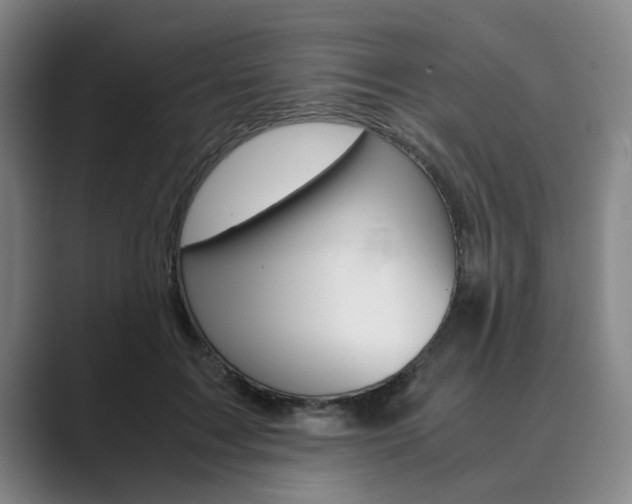 X0000089930603200706290757