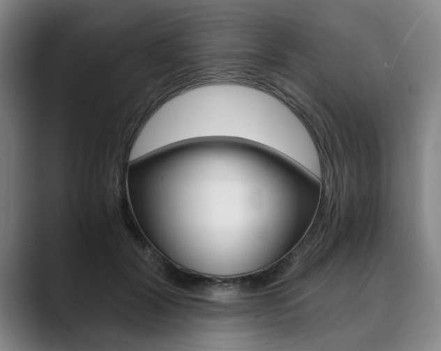 X0000089930604200706290757