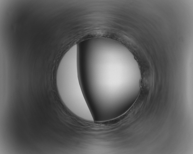 X0000089930605200706290757
