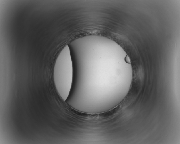 X0000089930606200706290757