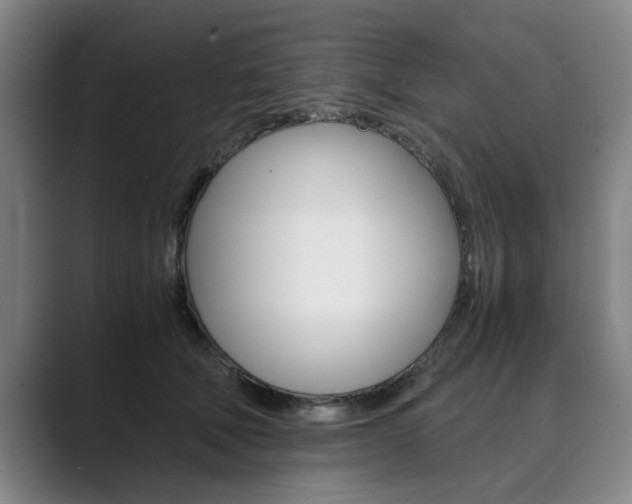 X0000089930610200706290757