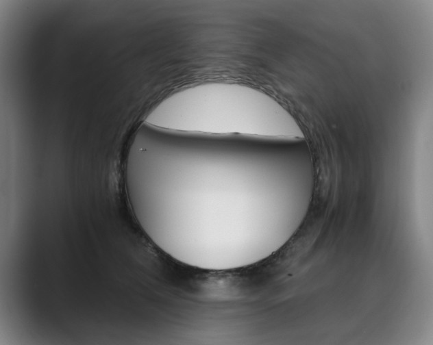 X0000089930612200706290757