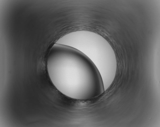 X0000089930613200706290757