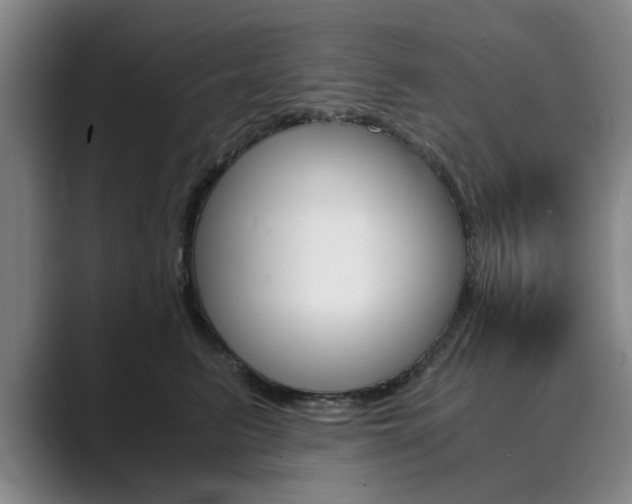 X0000089930615200706290757