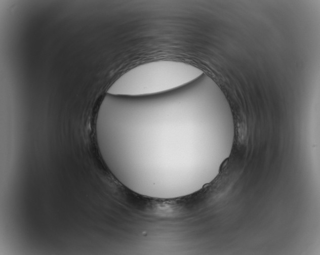 X0000089930618200706290757