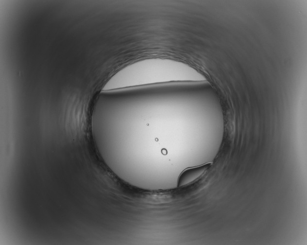 X0000089930619200706290757