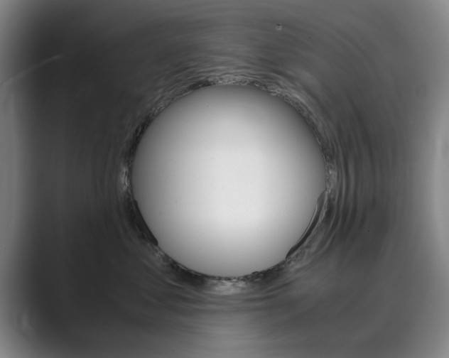 X0000089930621200706290757