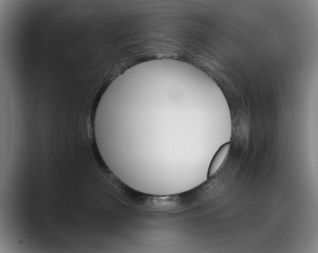 X0000089930622200706290757