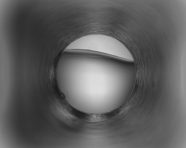 X0000089930623200706290757