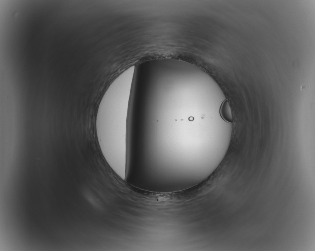 X0000089930624200706290757