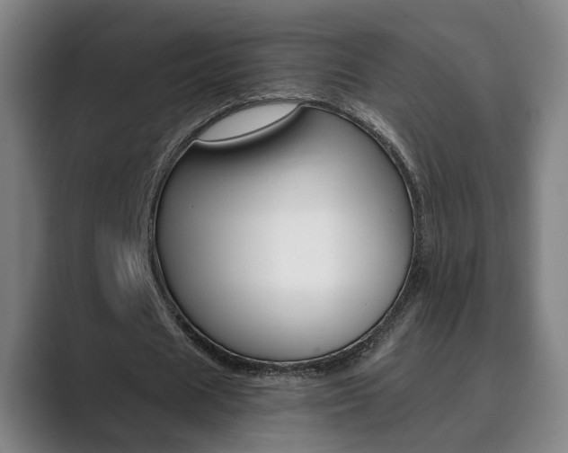 X0000089930625200706290756