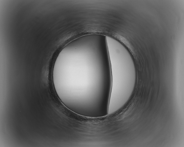 X0000089930627200706290756