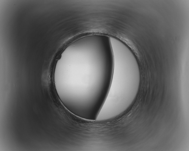 X0000089930628200706290756