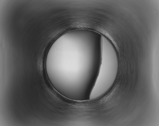 X0000089930629200706290756